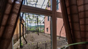 Vista a través de una ventana que muestra un jardín con un banco de madera, una pérgola y un edificio al fondo.