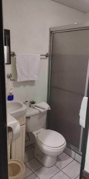 大花洒淋浴喷头、吹风机、毛巾