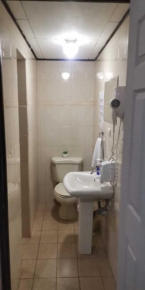 Rainfall showerhead, hair dryer, towels