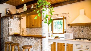 Une cuisine avec des murs en pierre, des armoires en bois, un four encastré et une plante suspendue.