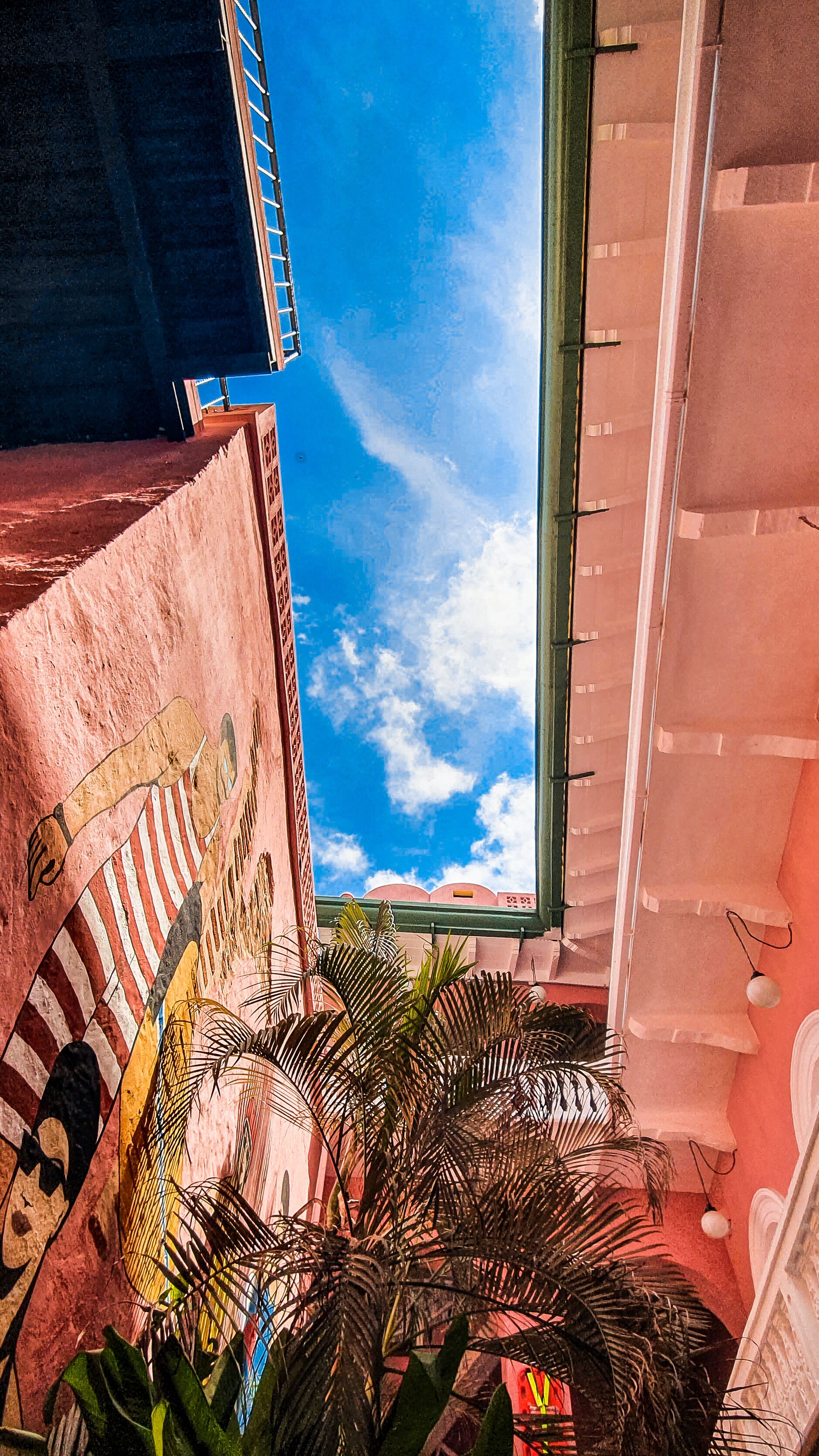 Photo - Casa Movida Hostel