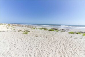 On the beach - Paradise Palms, 5 Bedrooms, Beach Front, Pool, Diamond, Sleeps 12 (Ponte Vedra Beach)
