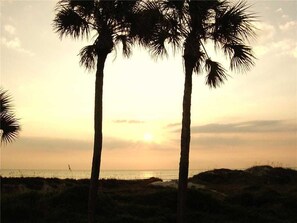A sunset with palm trees silhouetted against the sky. - Ocean Paradise, 3 Bedrooms, Ocean Front, Wifi, Sleeps 10 (St. Augustine)