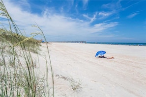 Nära stranden