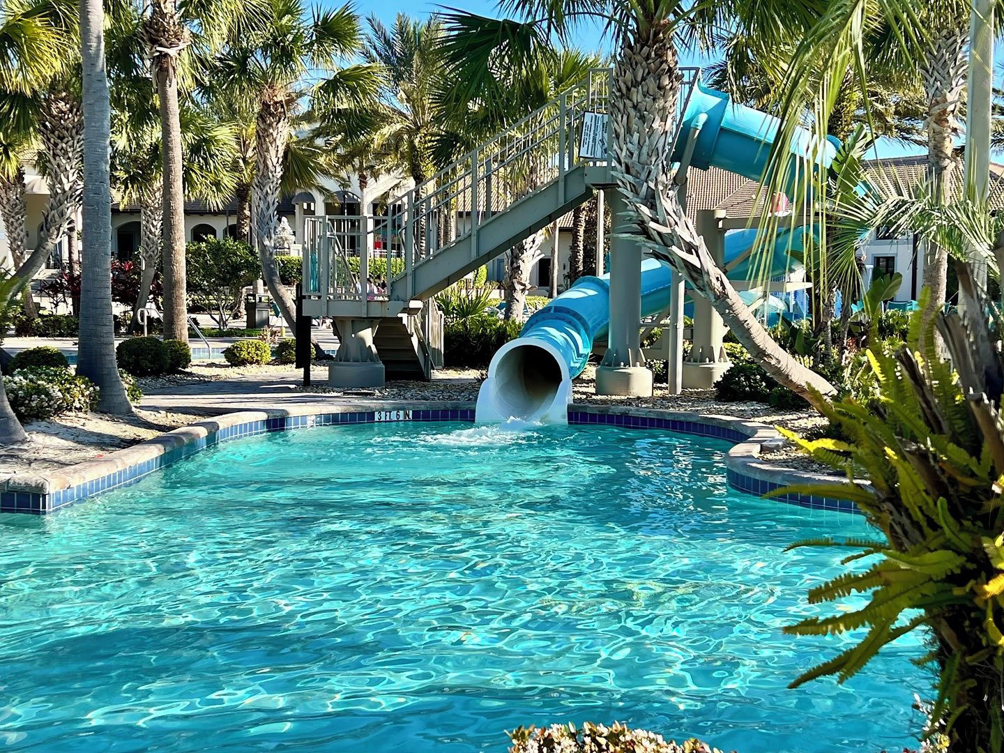 Une piscine avec un toboggan bleu, des palmiers et un bâtiment en arrière-plan.