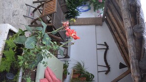 Un espace extérieur aménagé dans un style rustique, avec des meubles en bois et des plantes en pot.