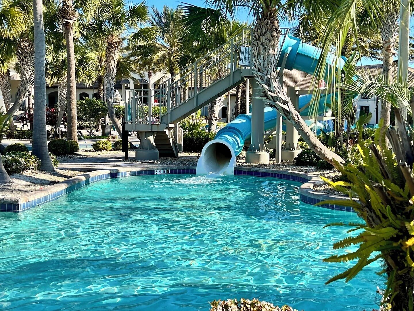 Une piscine avec un toboggan bleu, des palmiers et un bâtiment en arrière-plan.