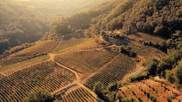 Vue aérienne