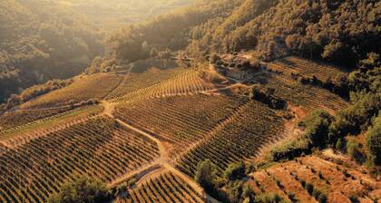 Cascina Bertolotto Wine Resort.