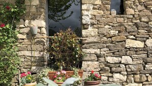 A stone building with a small window and a potted plant in the foreground. - Cascina Bertolotto Wine Resort. (Spigno Monferrato)