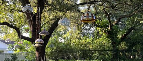 Enceinte de l’hébergement