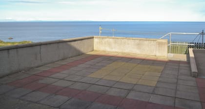 Dolphin View - UK30689