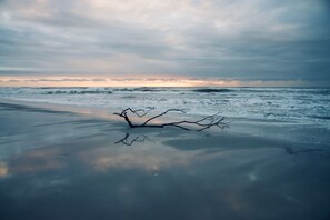 在海灘附近、躺椅