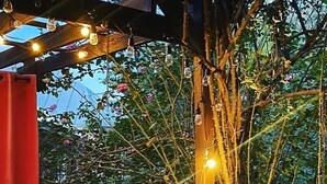 An outdoor seating area with a hot tub, a table with a potted plant, and string lights.
