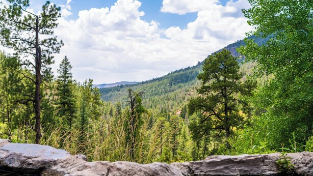 Un paysage montagneux, avec de vastes forêts et un ciel dégagé.