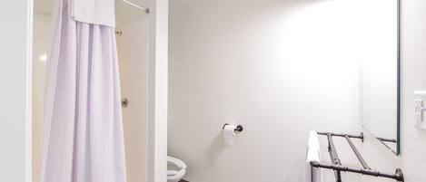 A bathroom with a shower curtain, toilet, towel rack, and a mirror.