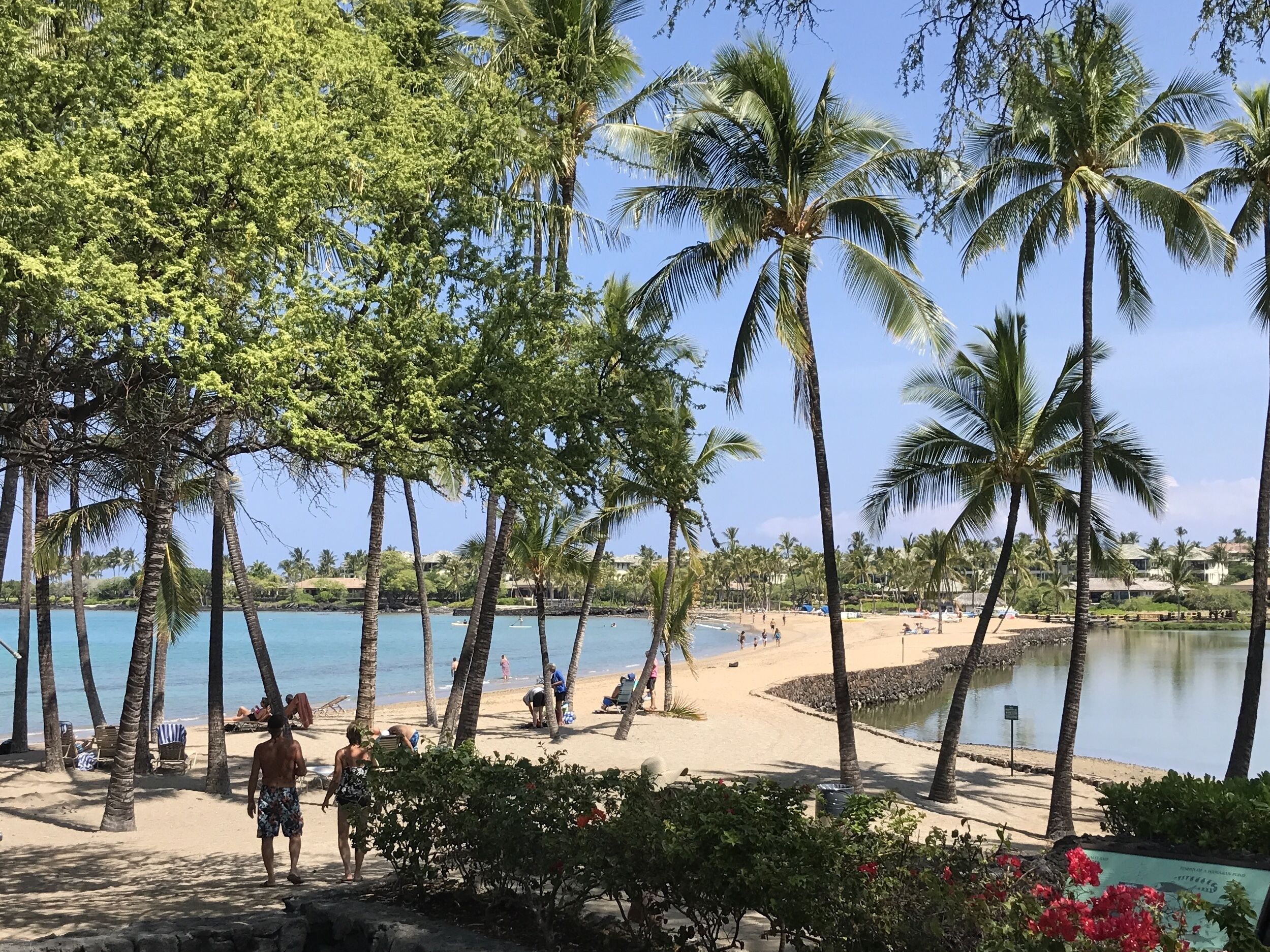 Sun loungers, beach towels