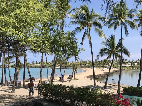 沙滩椅、沙滩毛巾