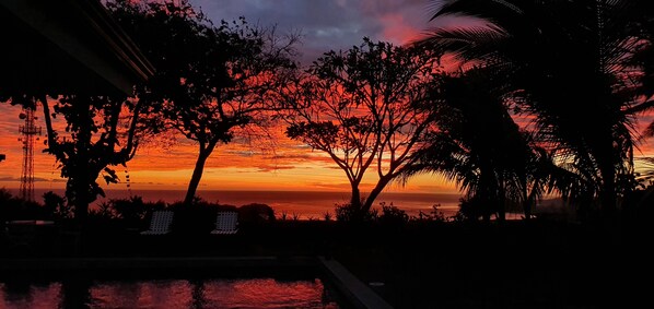 A sunset view with silhouettes of trees and a pool.