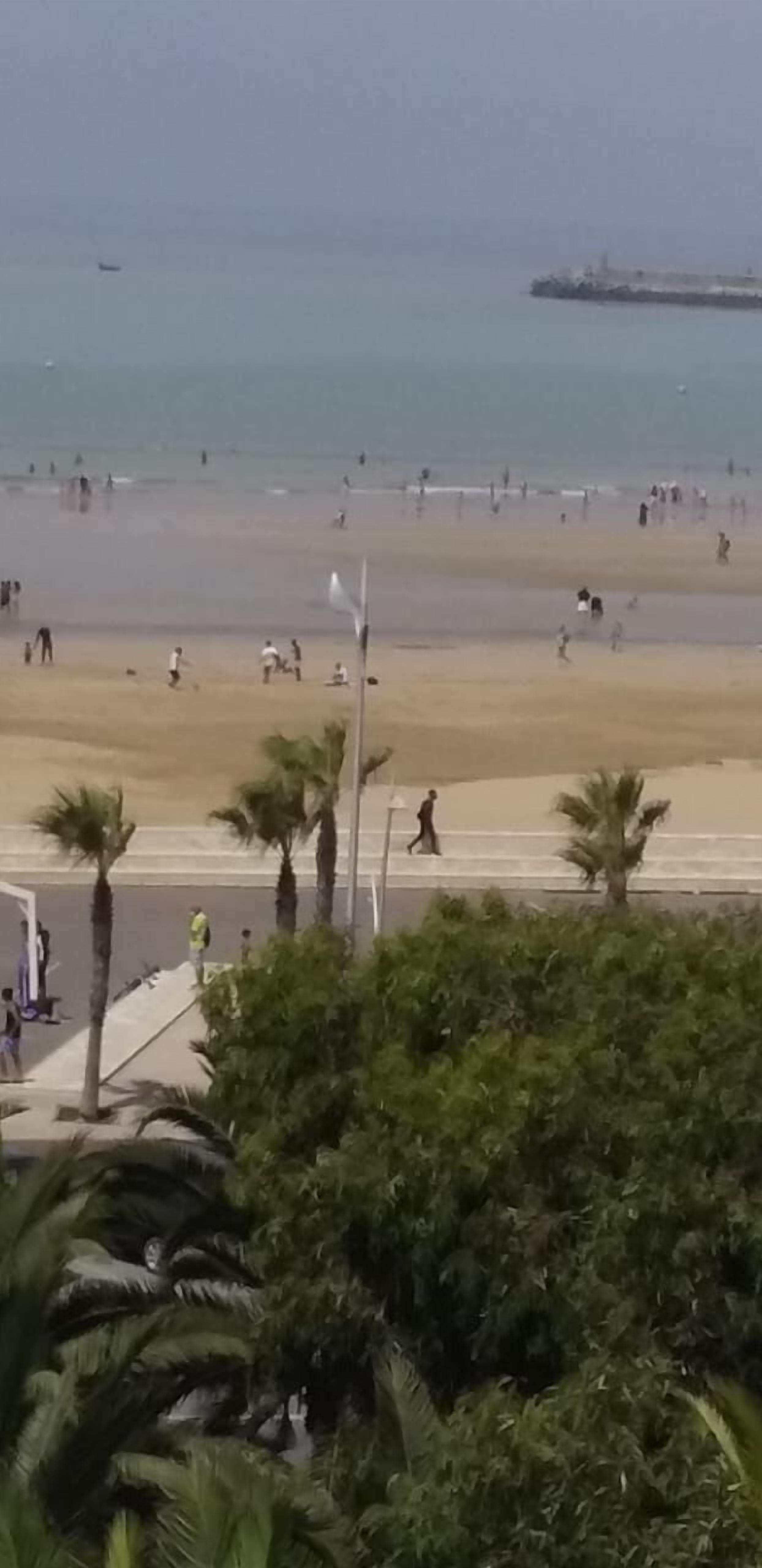 Une plage où l’on voit des gens se promener et jouer, des palmiers et un bateau au loin.
