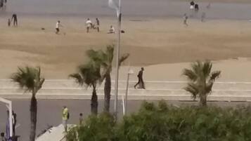 Une plage où l’on voit des gens se promener et jouer, des palmiers et un bateau au loin.