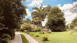 Um caminho pavimentado serpenteia por um jardim bem cuidado, com arbustos e árvores variadas, levando a um edifício com telhado vermelho.