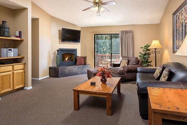 TV, fireplace, books, video library