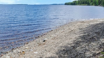 Ein kiesiger Strand mit ruhigem Wasser und einer bewaldeten Insel in der Ferne.