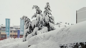 A snowy outdoor area with snow-covered trees and a pile of snow. There are banners with text visible in the background. - TRES ESTRELLES CLUB 3-estudi 3 pers-Pas de la casa- 20 m piste-005986 (PAS DE LA CASA)