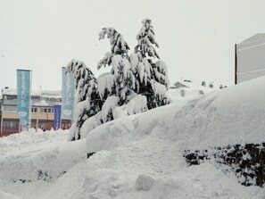 Àrea exterior de l'allotjament