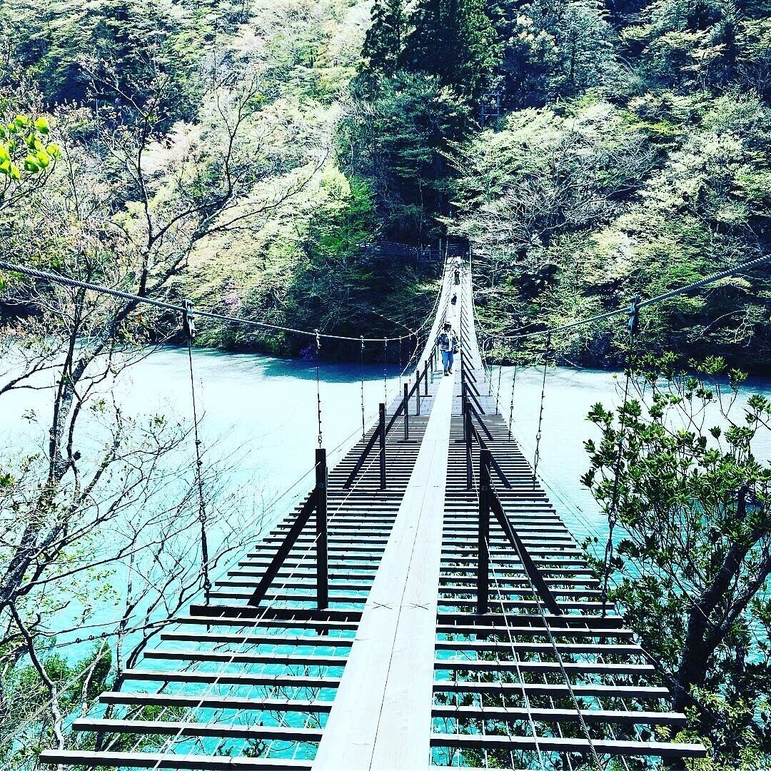 A suspension bridge over a river surrounded by dense forest.