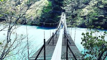 A suspension bridge over a river surrounded by dense forest.