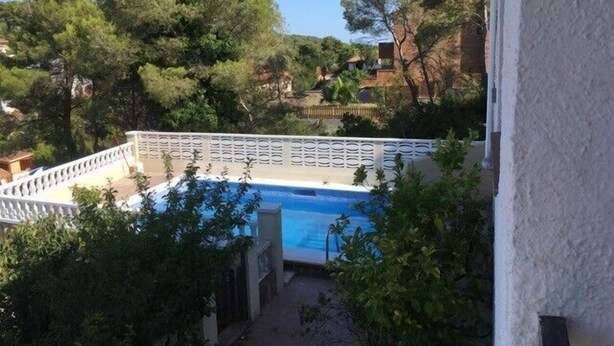 Une piscine entourée d’arbres et bordée d’une clôture blanche.