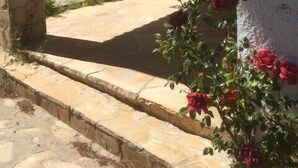Un escalier en pierre mène à un patio abrité d’où l’on peut admirer un jardin et un bâtiment en arrière-plan.