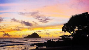 Ein Strand mit der Silhouette eines Baumes und einer fernen Insel im Sonnenuntergang.
