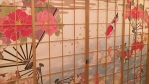 미분류 이미지, 5/8장, 버튼