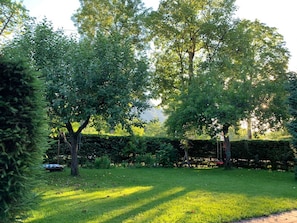 A well-maintained garden with a variety of trees, a neatly trimmed hedge, and a clear pathway.