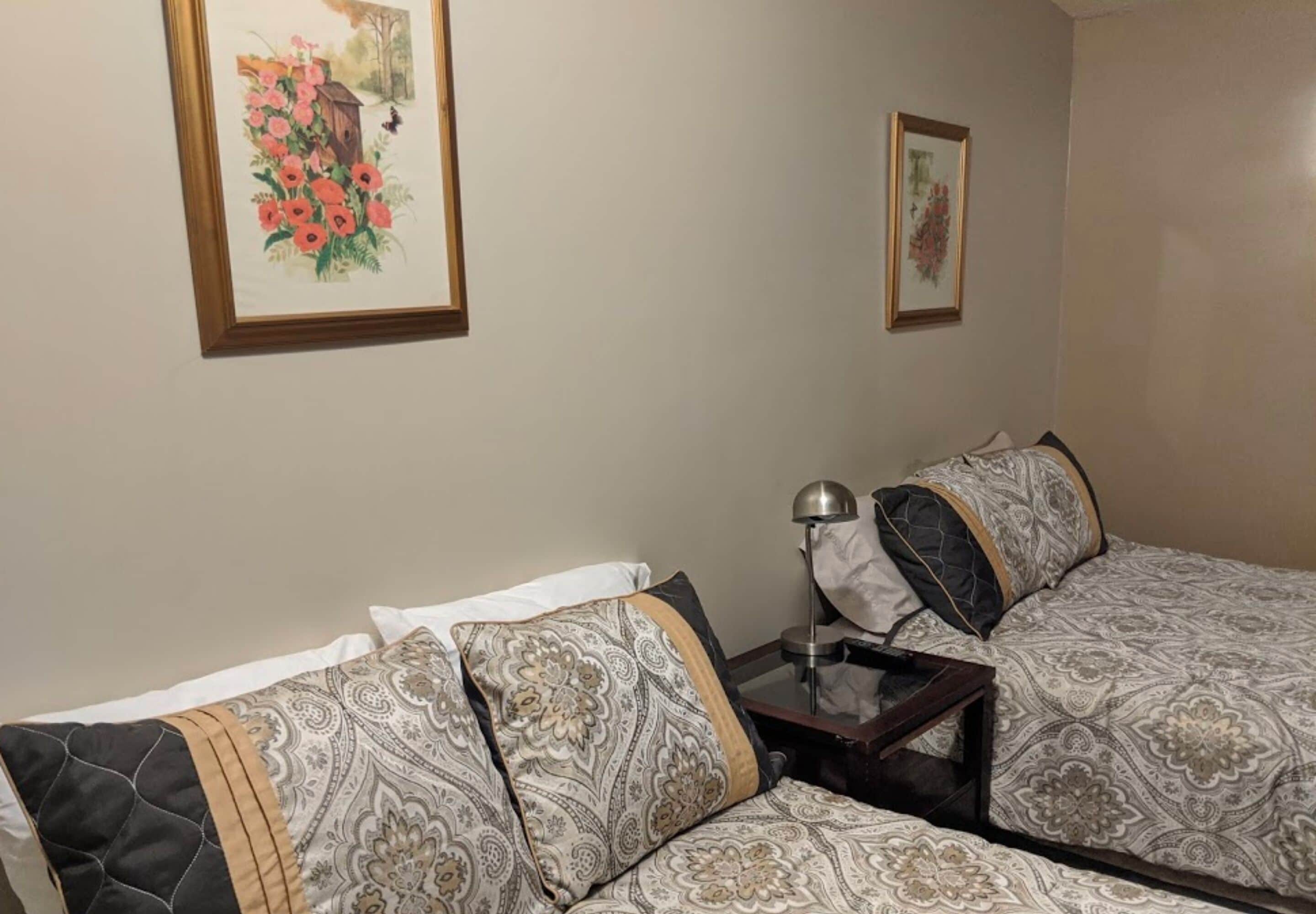 واي فاي مجانًا