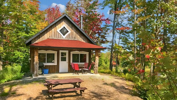 Una cabaña rústica con techo rojo, fachada de madera y una mesa de picnic al frente.