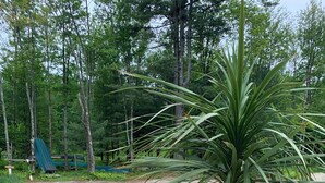 Un sendero de tierra que conduce a una masa de agua con kayaks y una palmera en una maceta.
