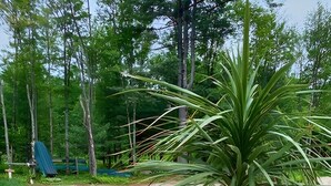 A concrete path beside a body of water with a palm tree in a pot.
