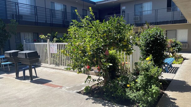 Un patio con un árbol, mesas al aire libre y una valla.