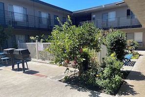 Un patio con un árbol, mesas al aire libre y una valla.