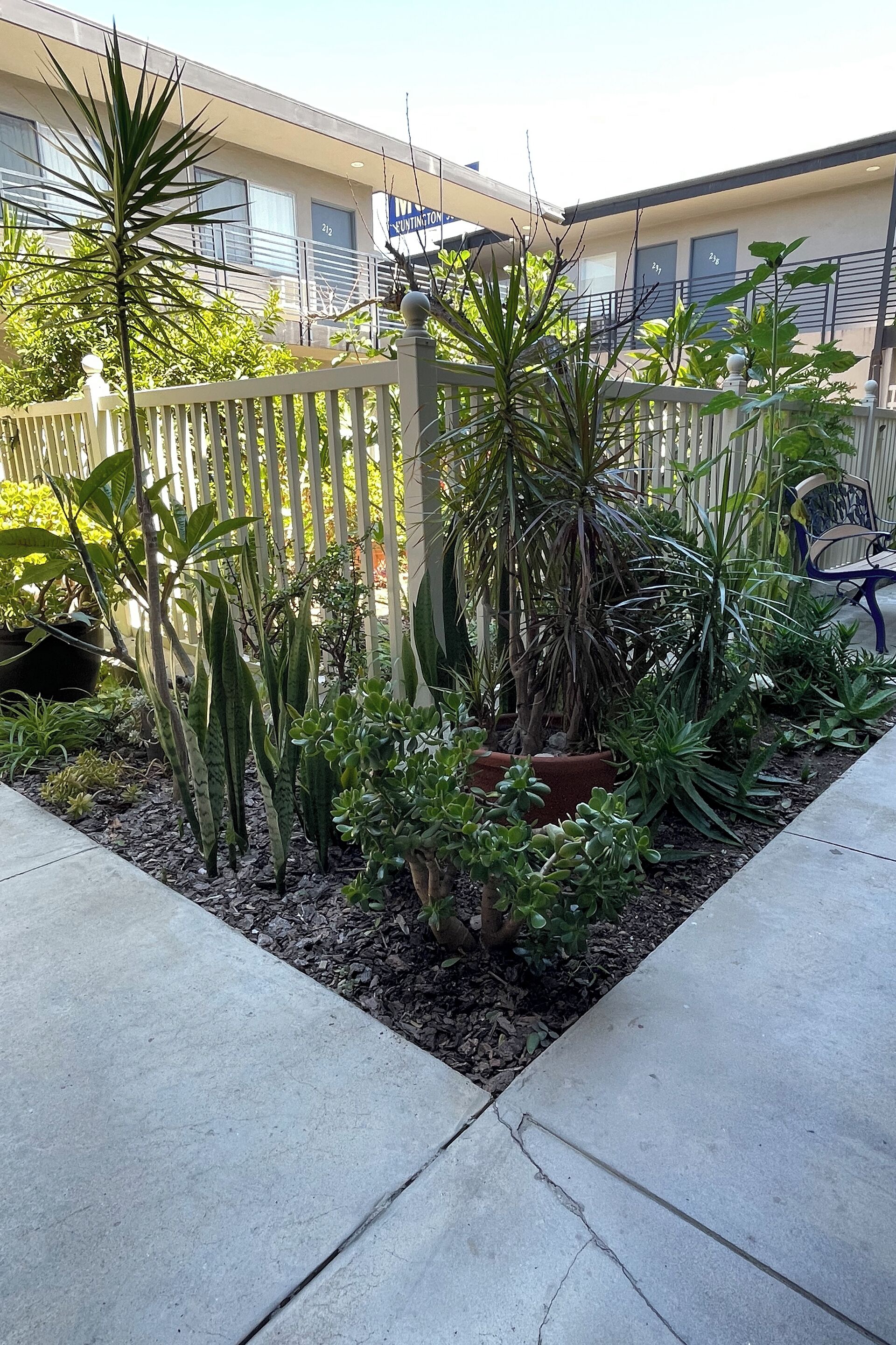 Un jardín con diversas plantas y una cerca blanca.