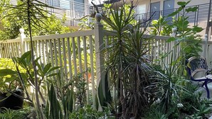A garden area with various plants and a white fence. - Huntington Suites (Huntington Beach)