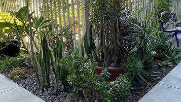 Un jardín con diversas plantas y una cerca blanca.