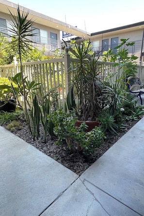 A garden area with various plants and a white fence.