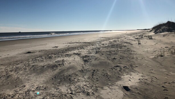 Een strand met een heldere lucht en de zon die schijnt.