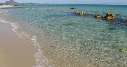 Ground floor, 5 places