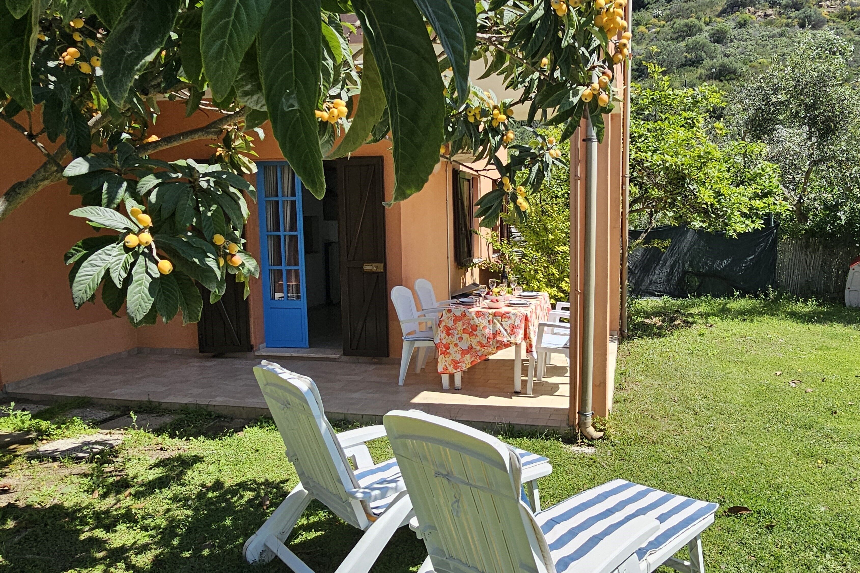 Un patio con tavolo e sedie, una porta blu e un albero con frutti gialli.